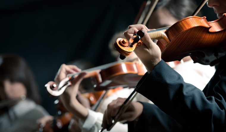 Оркестр скрипачей