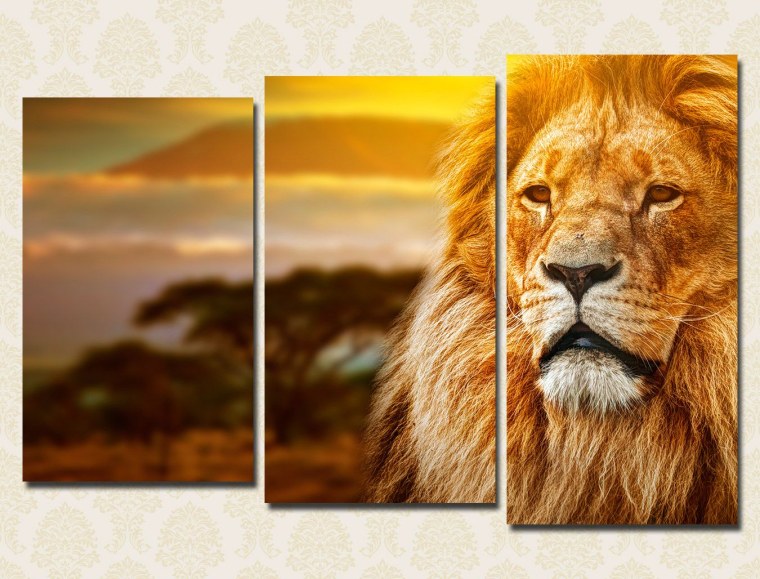 Лев царь зверей