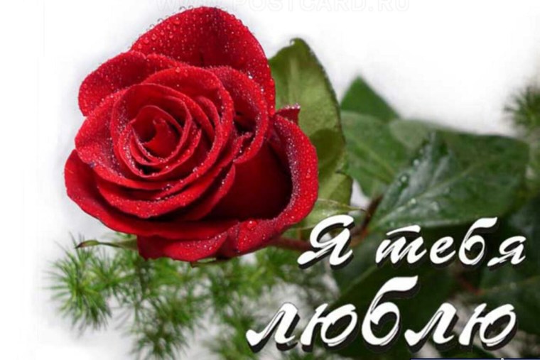 Красивой девушке красивые слова