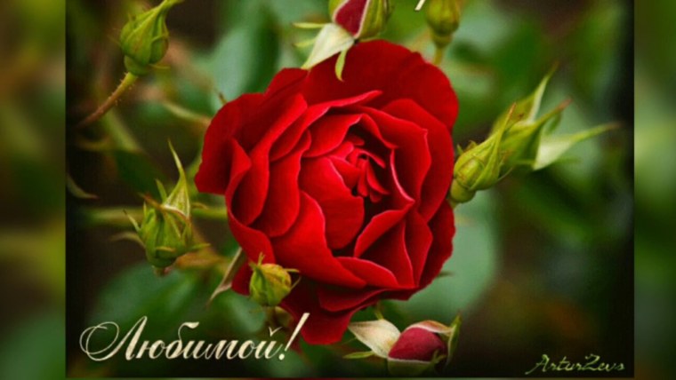 Открытка комплименты