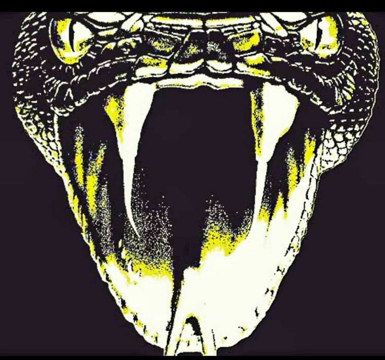 Оскал кобры