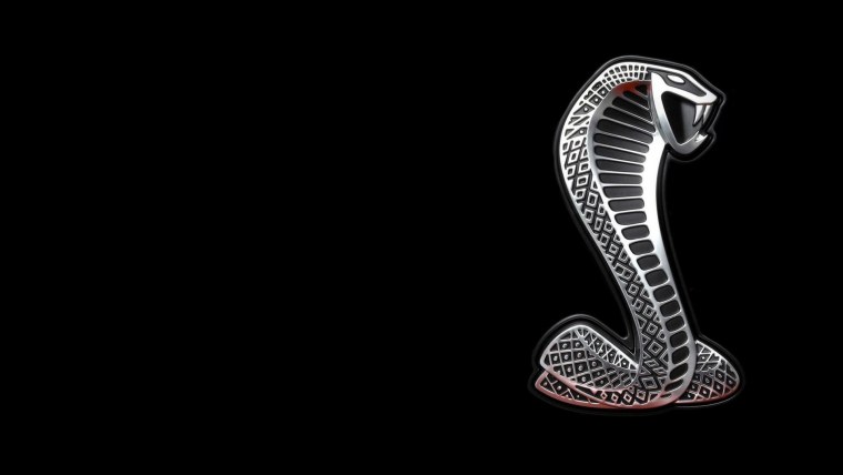 Кобра обои на рабочий стол