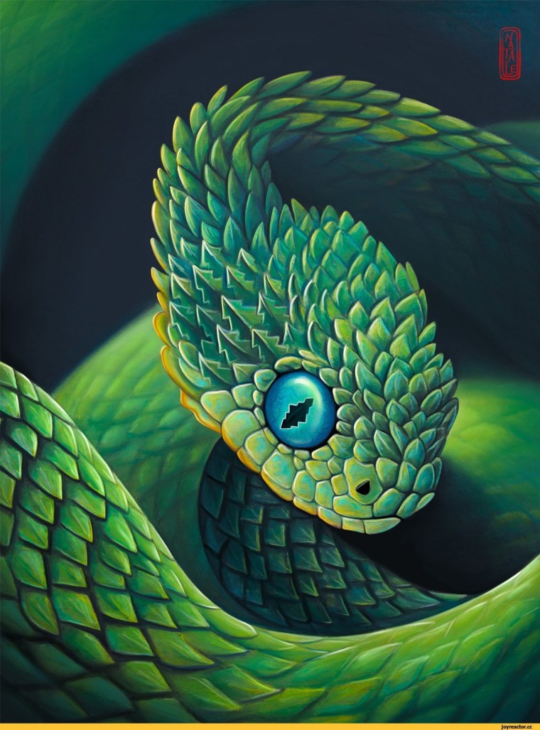 Змея арт древесная гадюка