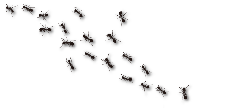 Много насекомых на белом фоне