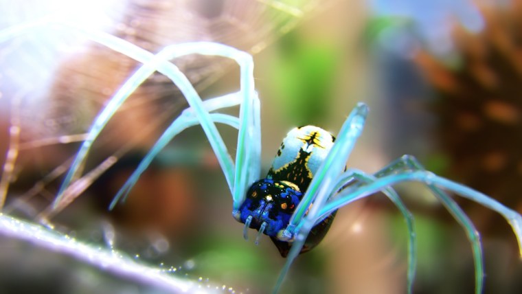 Обои на рабочий стол бабочки