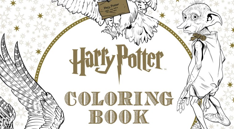 Гарри Поттер портрет