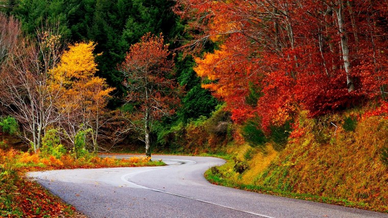 Красивая осень