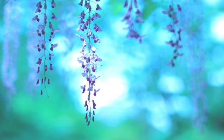 Бирюзовый фон