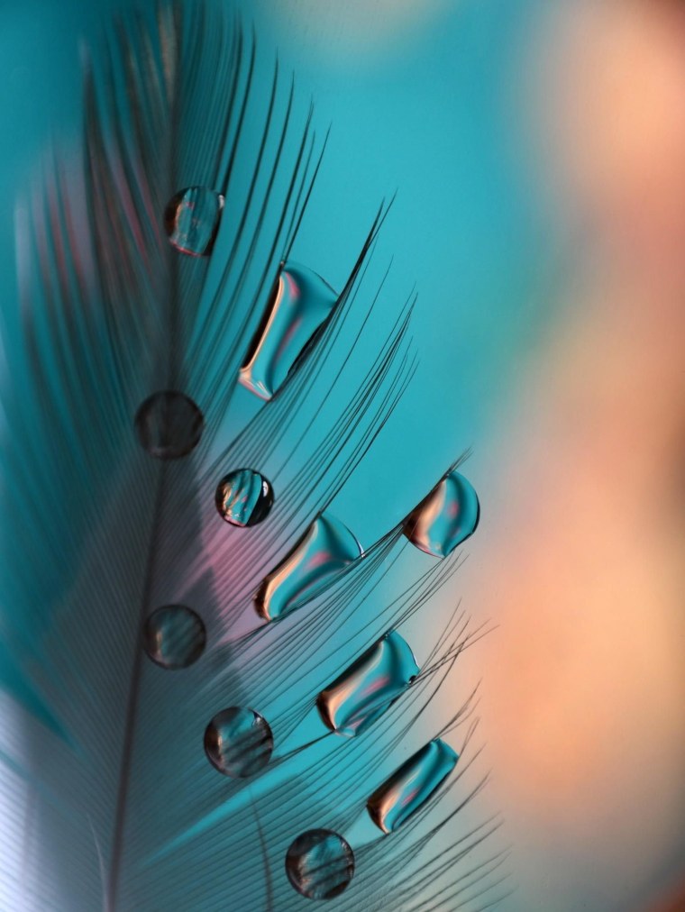 Обои на vivo v17