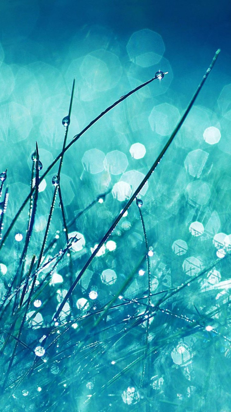 Бирюзовый квадрат