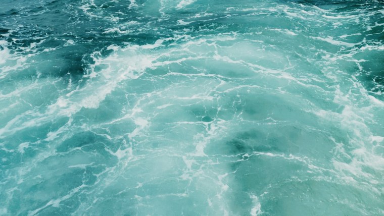 Красивые бирюзовые цветы