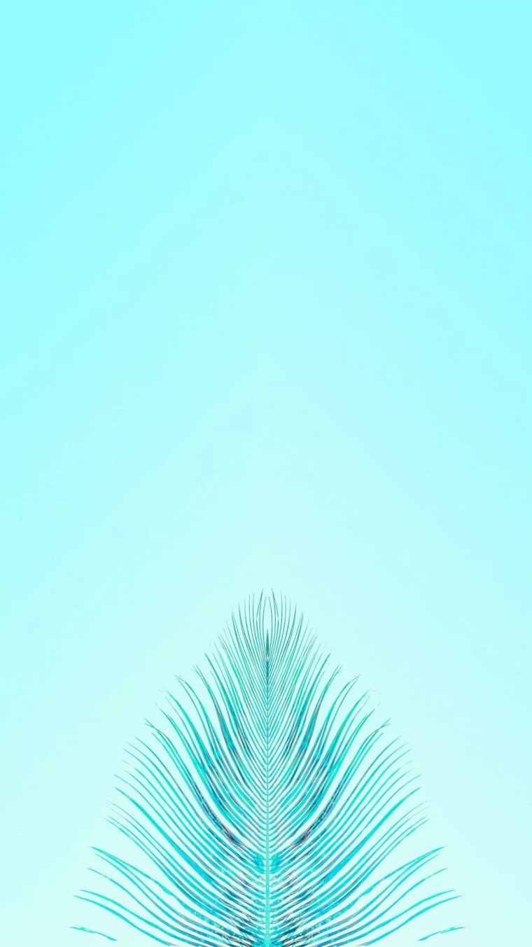 Светло синий цвет