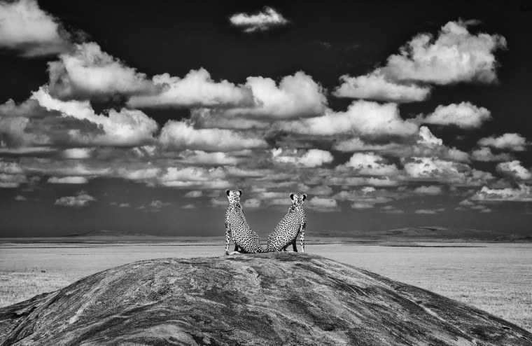 Черно белый мир