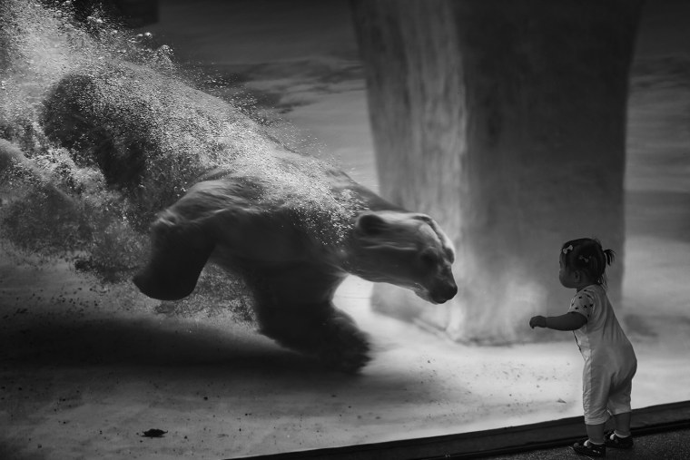 Черно белые шедевры