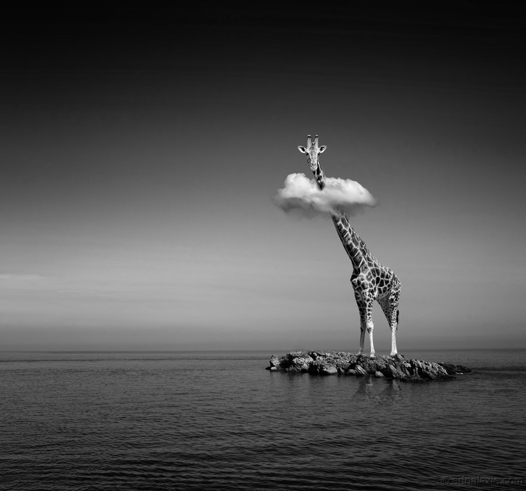 Черно белые шедевры