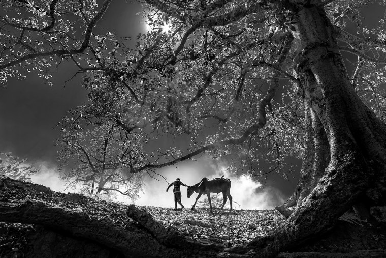 Черно белый мир