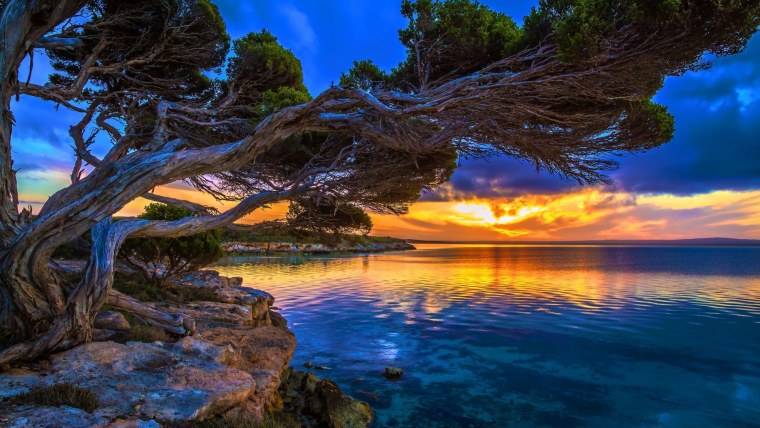 Пейзажи природы