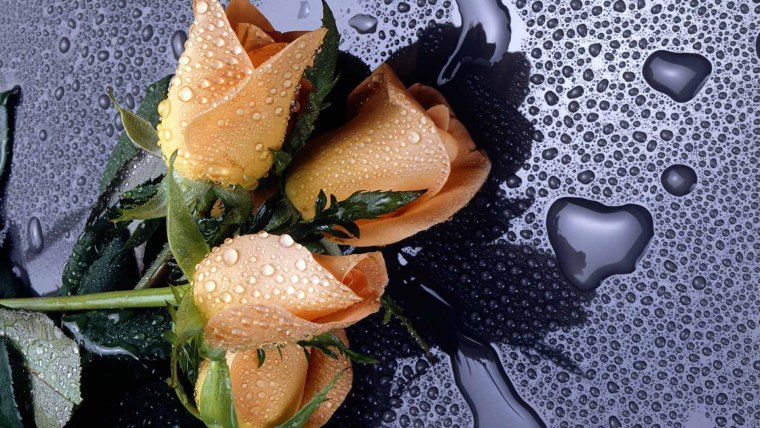 Красивые обои на рабочий стол