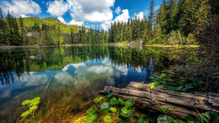 Красивый пейзаж