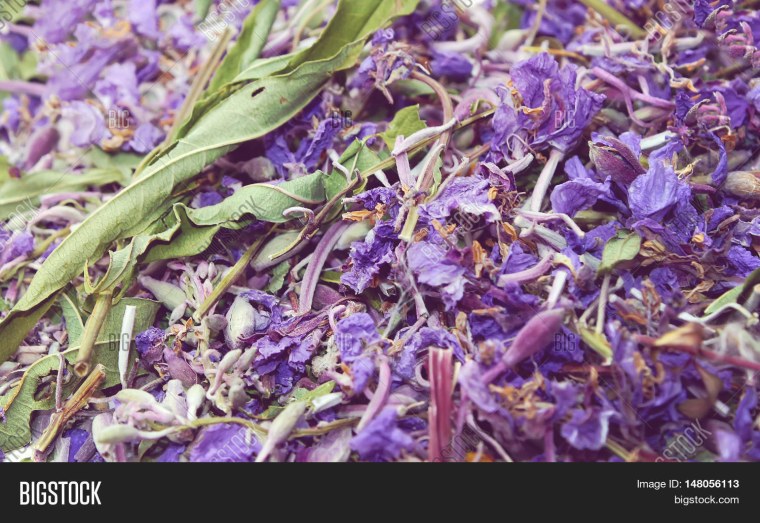 Иван чай кипрей препарат