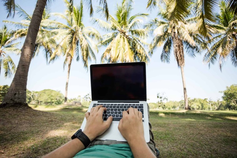 С ноутом под пальмой