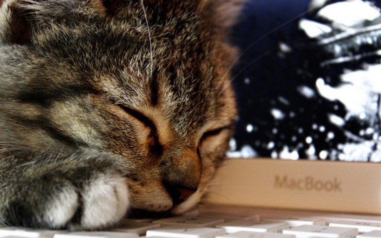 Заставка на ноутбук