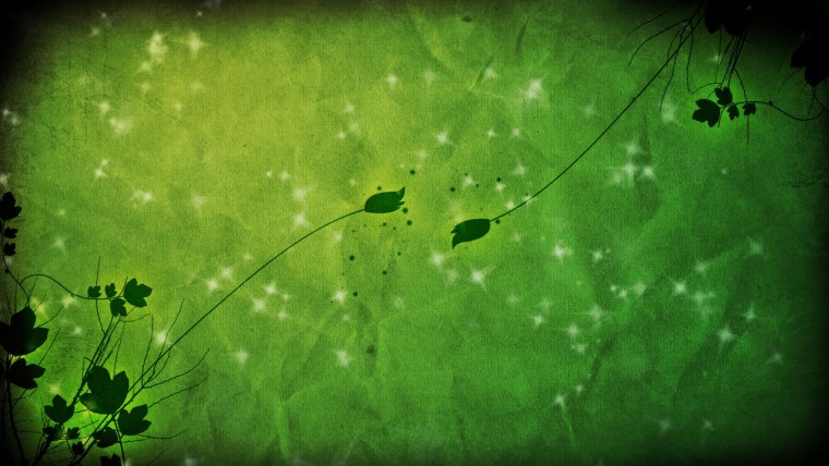 Фотообои в зеленых тонах