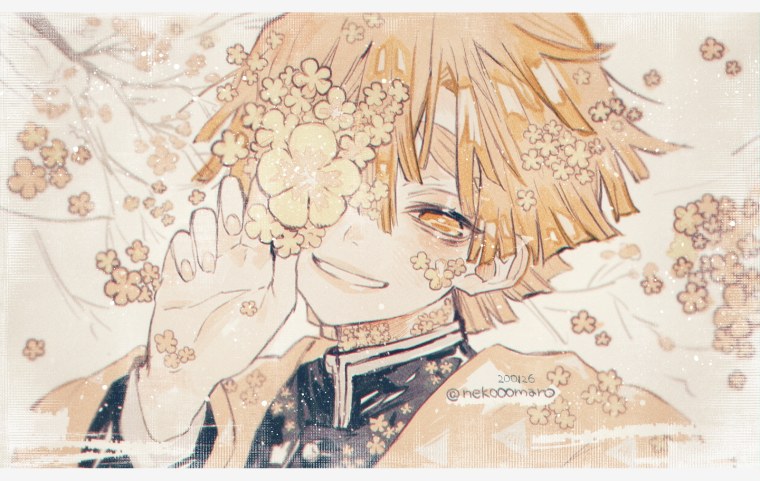 Зеницу Агацума коллаж