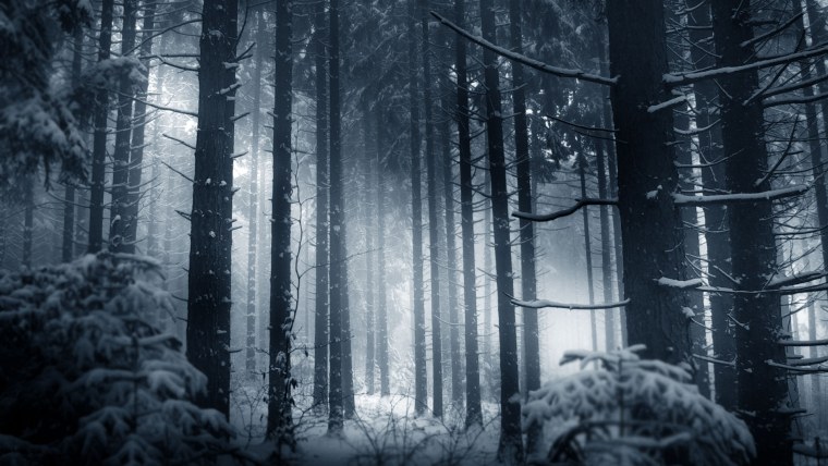 Зимний лес хоррор