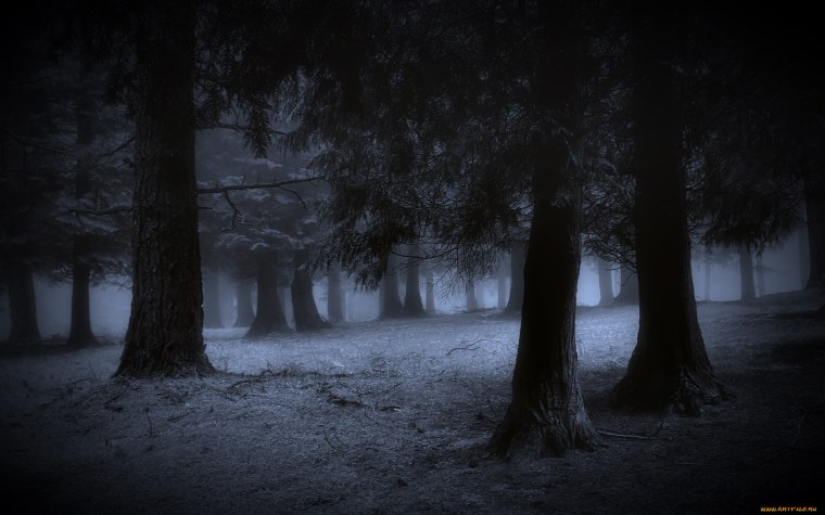 Мрачный лес зимой