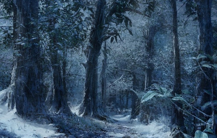 Дремучий заснеженный лес