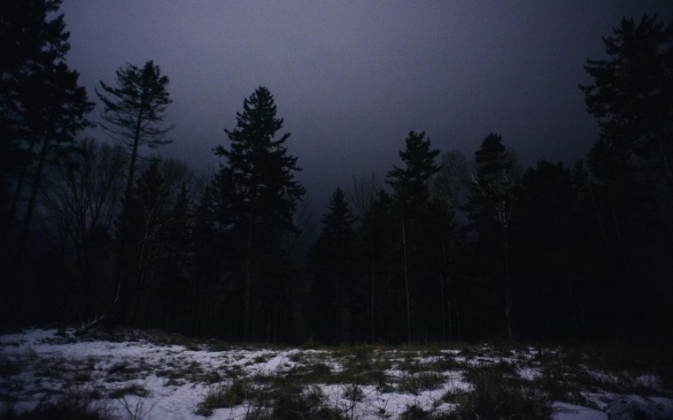 Ночной лес