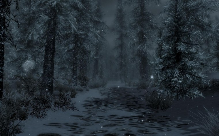 Темный снежный лес