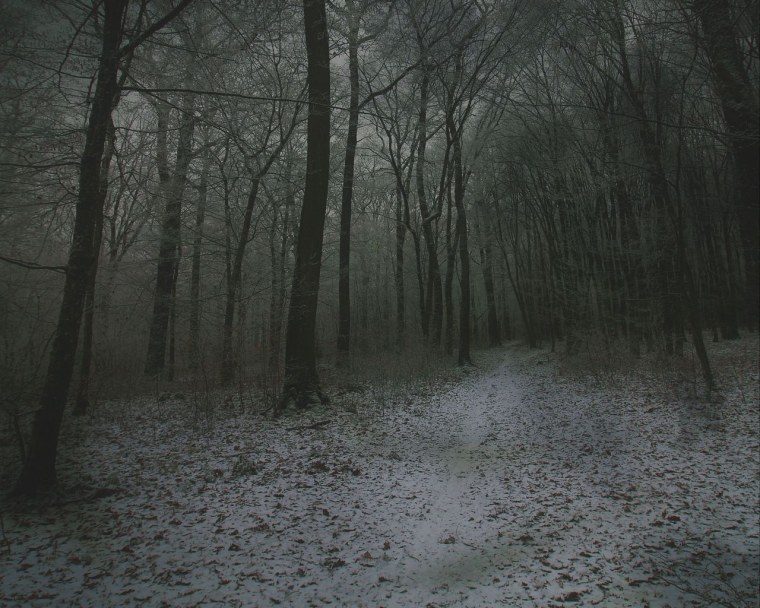 Дарк Винтер