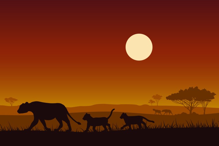 Силуэт Африки