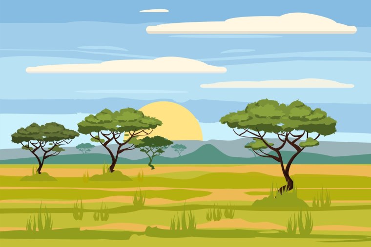 Пейзаж сафари для детей