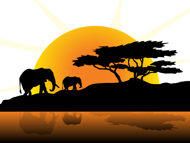 Африканские силуэты