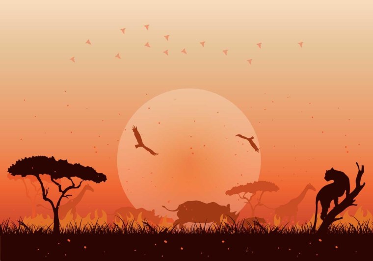 Африка Саванна вектор