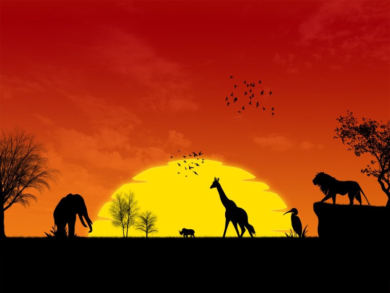 Африканский пейзаж силуэт