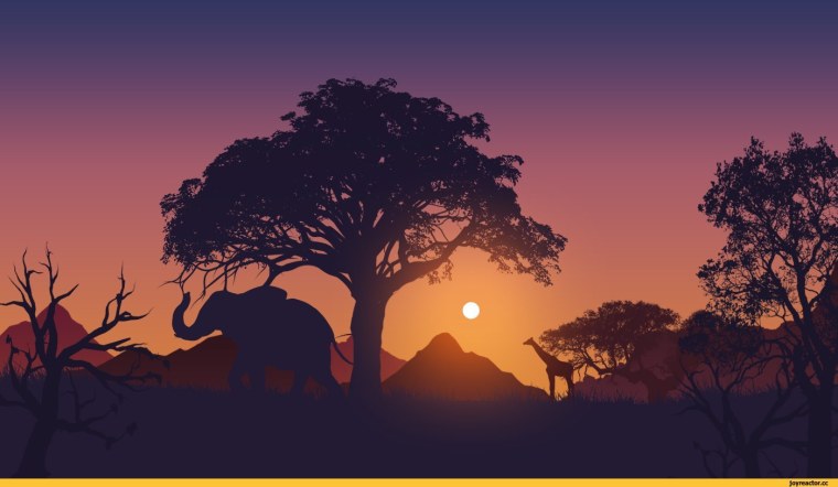 Африканский пейзаж на закате