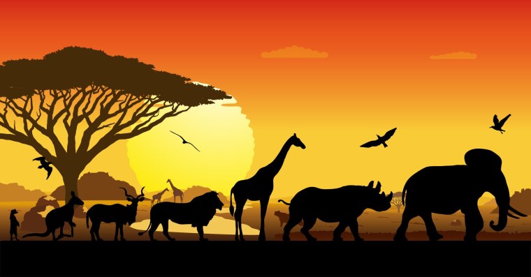 Фон с животными саванны