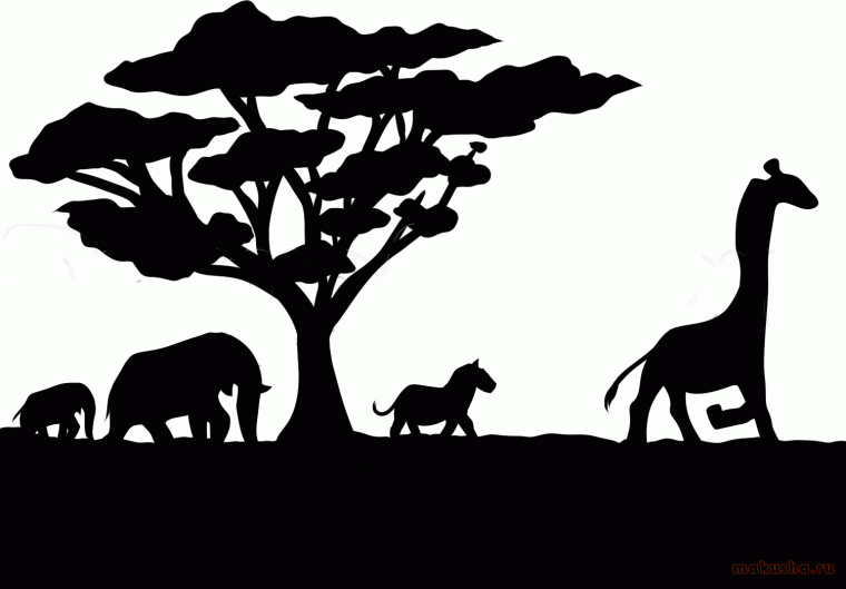 Силуэты животных