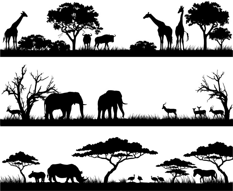 Фон Король Лев Саванна