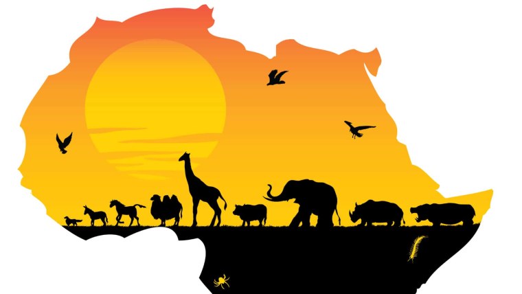 Король Лев Саванна