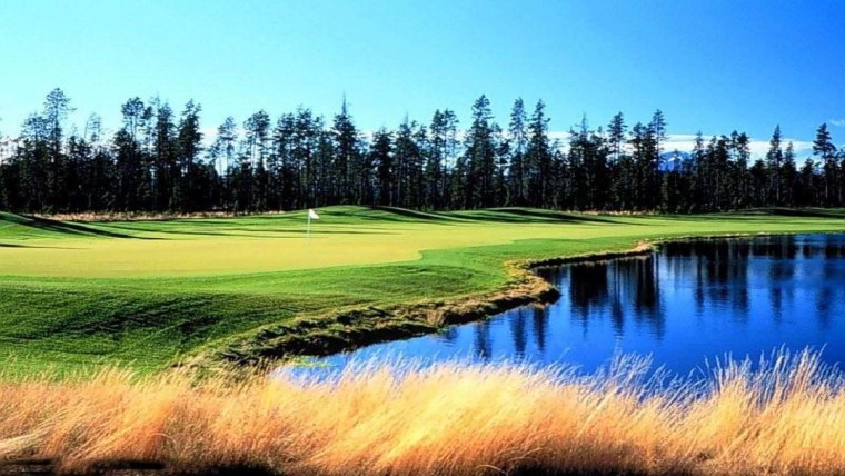 Фон Windows природа