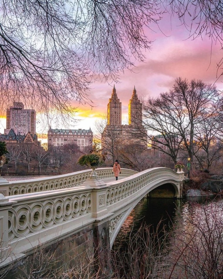 Мост Нью Йорк Центральный парк