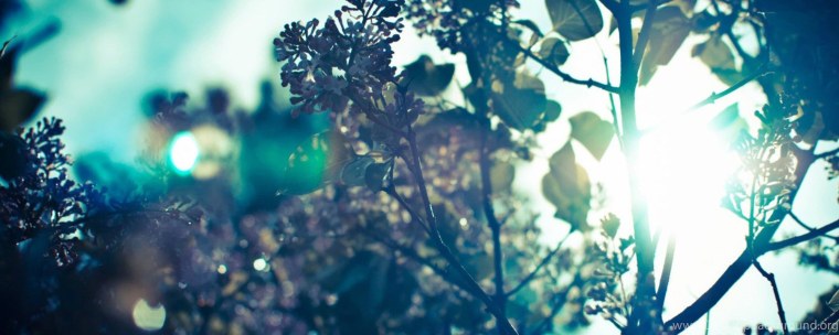 Обложки для фейсбука красивые