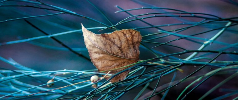 Обои на Фейсбук