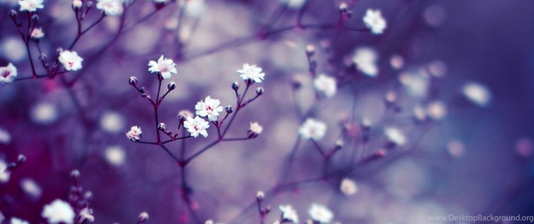 Обложка для фейсбука