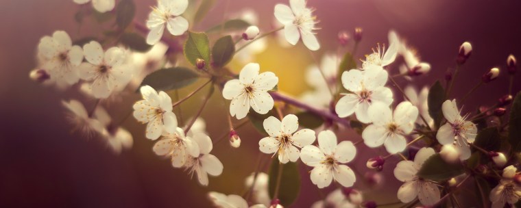 Красивый фон